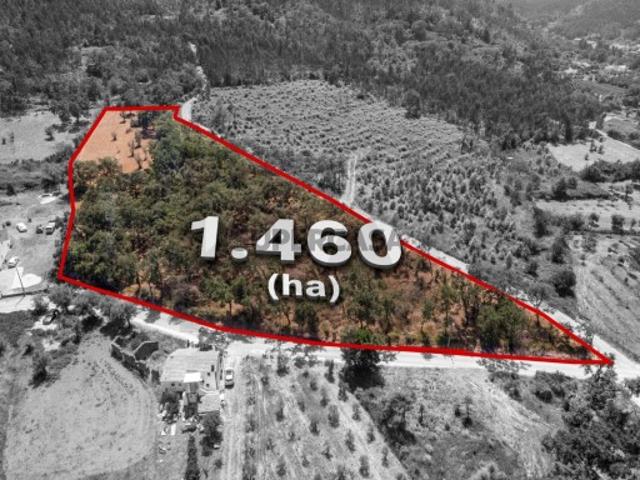 Terreno venda em Ansião, Leiria