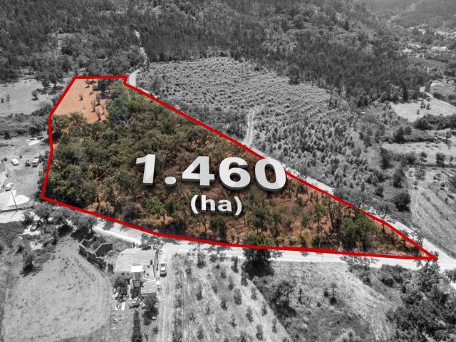 Terreno venda em Chão de Couce, Ansião