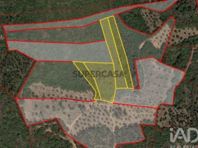 Terreno venda em Rego Da Murta, Santarém