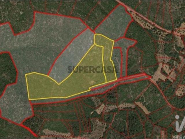 Terreno venda em Rego Da Murta, Santarém