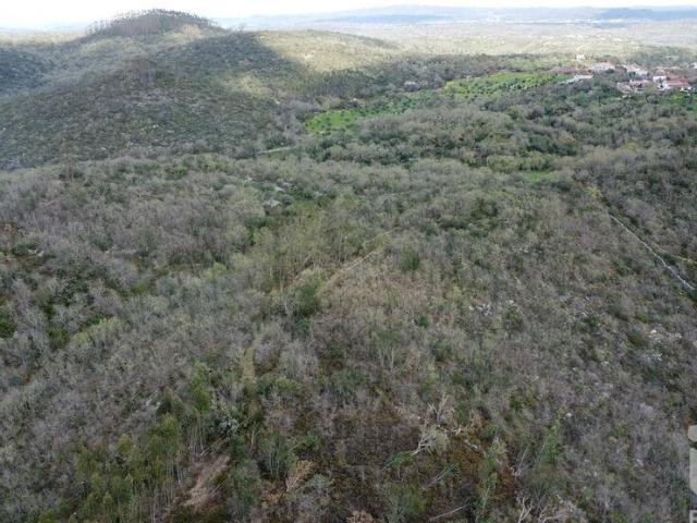 Terreno venda em Casal de Santa Iria, Rego Da Murta