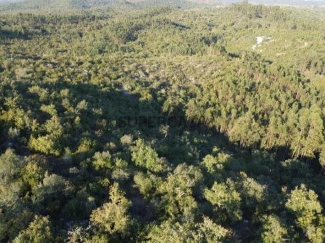 Terreno venda em Almogadel, Rego Da Murta