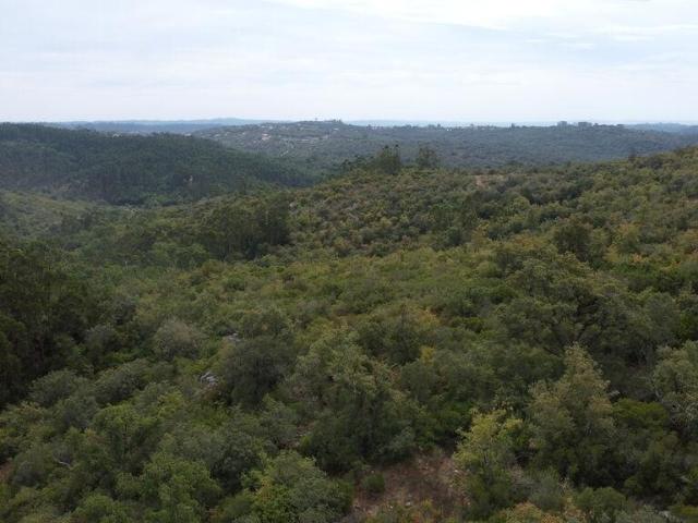 Terreno venda em Almogadel, Rego Da Murta