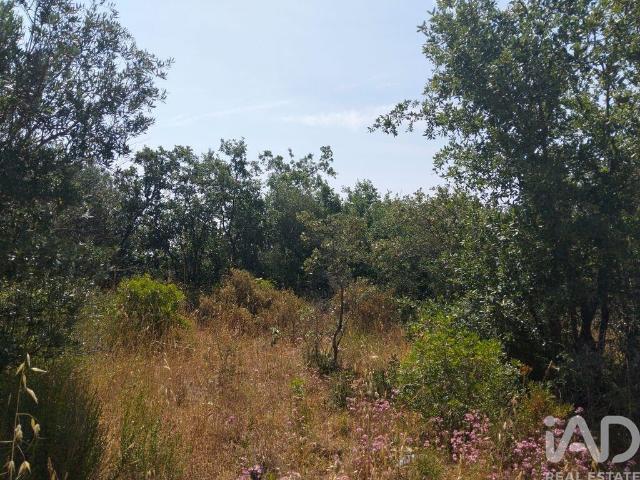 Terreno venda em Almogadel, Rego Da Murta