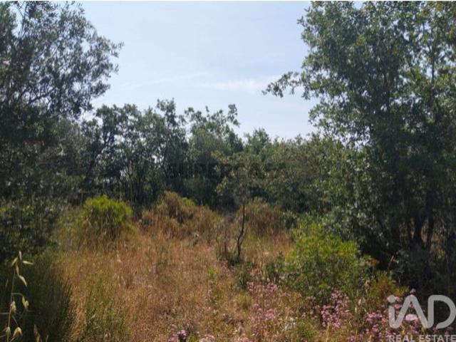 Terreno venda em Almogadel, Rego Da Murta