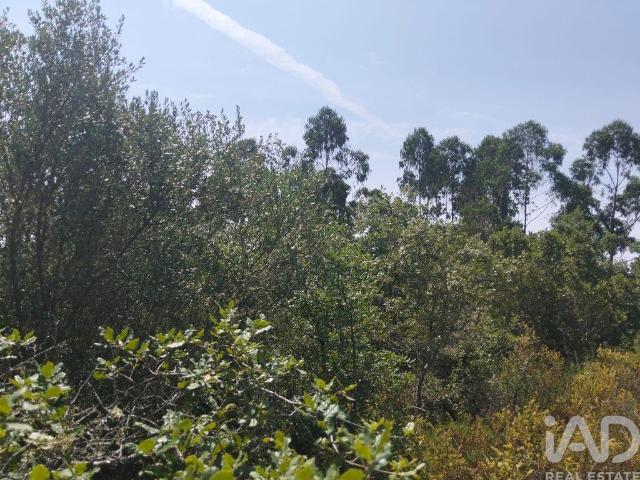 Terreno venda em Almogadel, Rego Da Murta