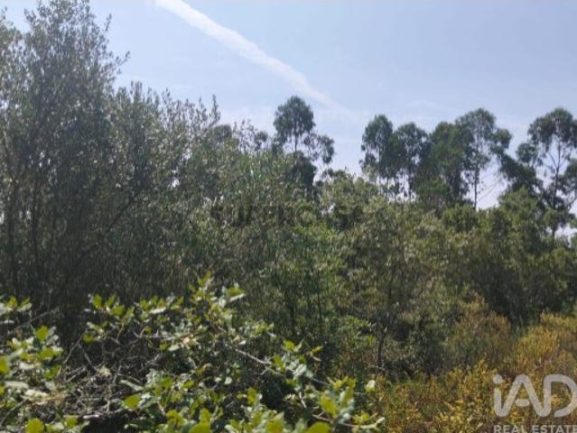 Terreno venda em Almogadel, Rego Da Murta