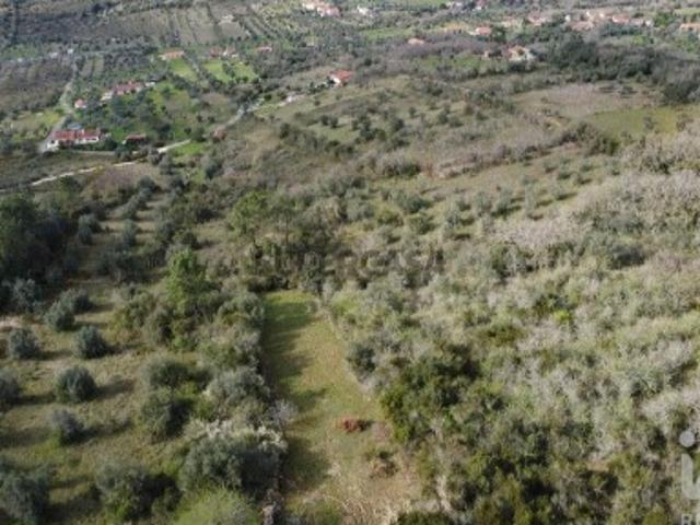 Terreno venda em Almogadel, Rego Da Murta