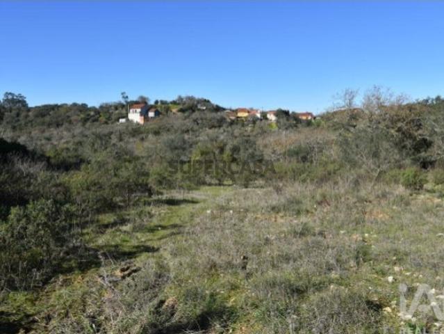 Terreno venda em Almogadel, Rego Da Murta