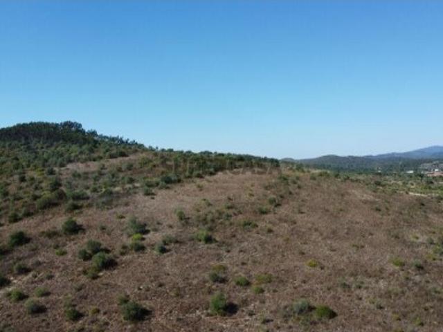 Terreno venda em Almogadel, Rego Da Murta
