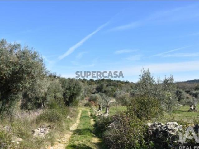 Terreno venda em Almogadel, Rego Da Murta
