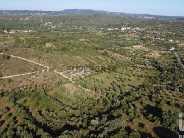 Terreno venda em Almogadel, Rego Da Murta