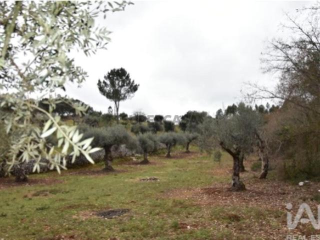 Terreno venda em Almogadel, Rego Da Murta