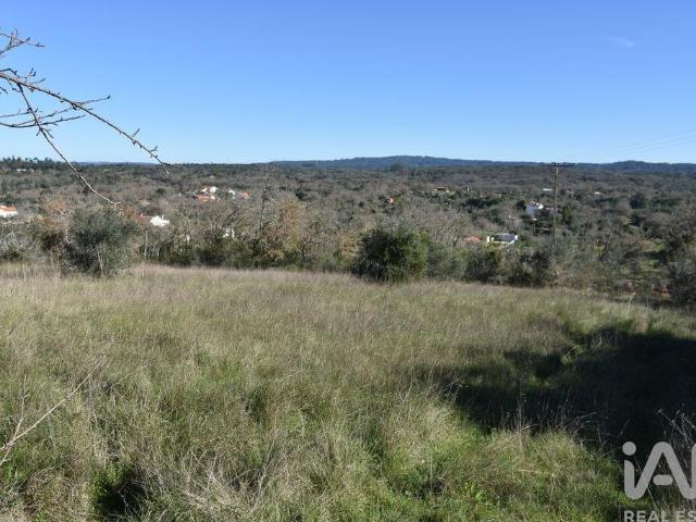 Terreno venda em Almogadel, Rego Da Murta