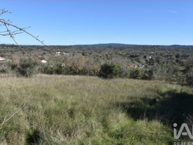 Terreno venda em Almogadel, Rego Da Murta