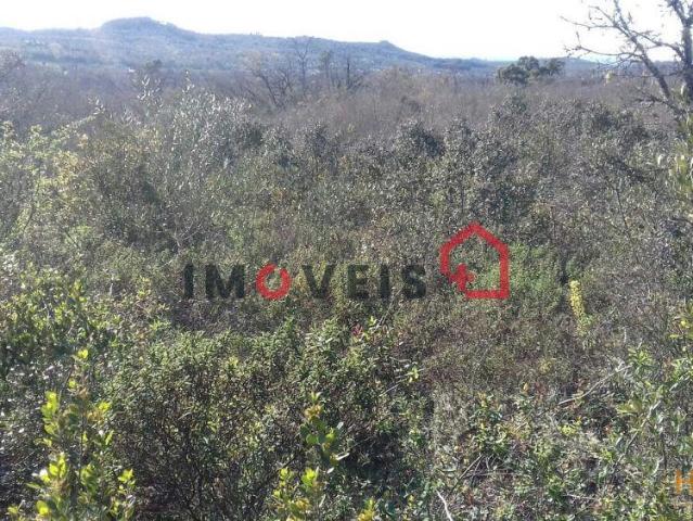 Terreno venda em Rego Da Murta, Santarém