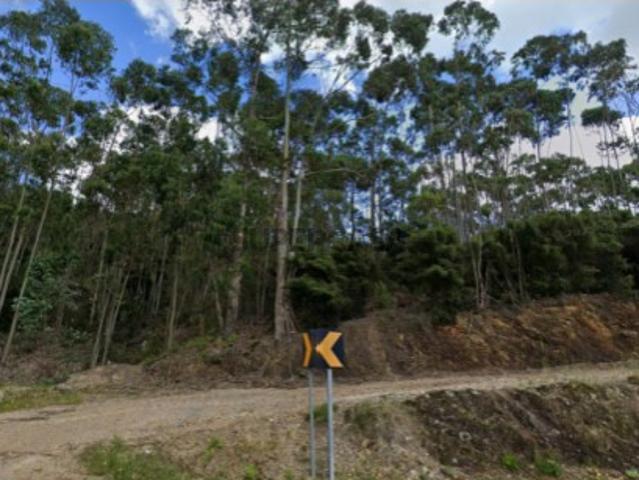 Terreno venda em Chão de Lopes Grande, Mação