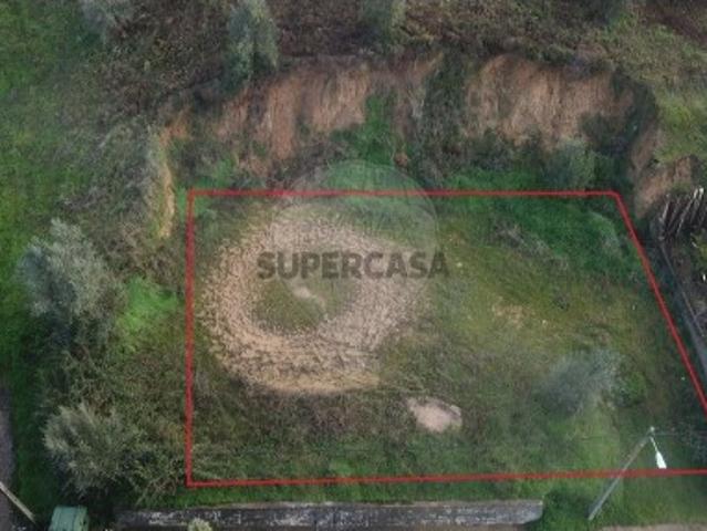 Terreno venda em Chamusca e Pinheiro Grande, Chamusca
