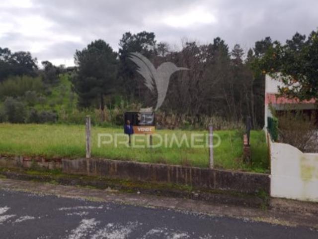 Terreno venda em Chamusca e Pinheiro Grande, Chamusca