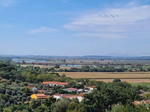 Terreno venda em Chamusca e Pinheiro Grande, Chamusca