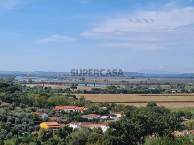 Terreno venda em Chamusca e Pinheiro Grande, Chamusca
