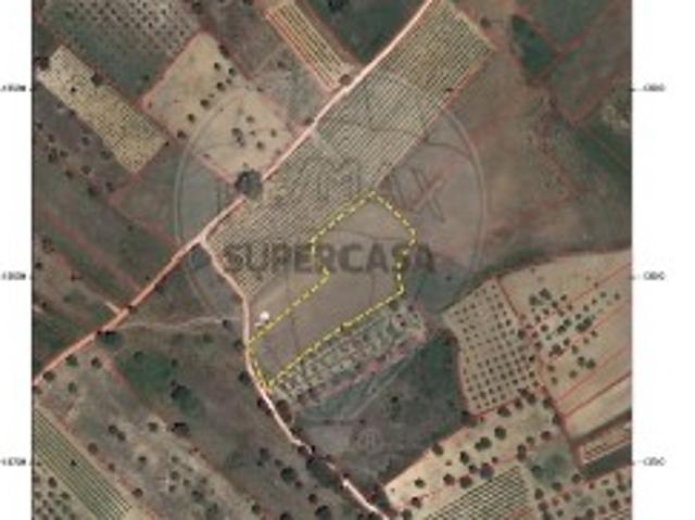 Terreno venda em Torres Novas, Santarém