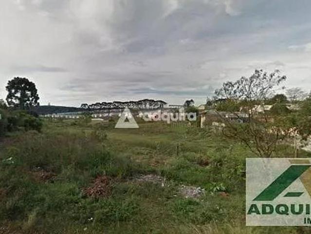Terreno venda em Região Geográfica Imediata de Ponta Grossa, Ponta Grossa