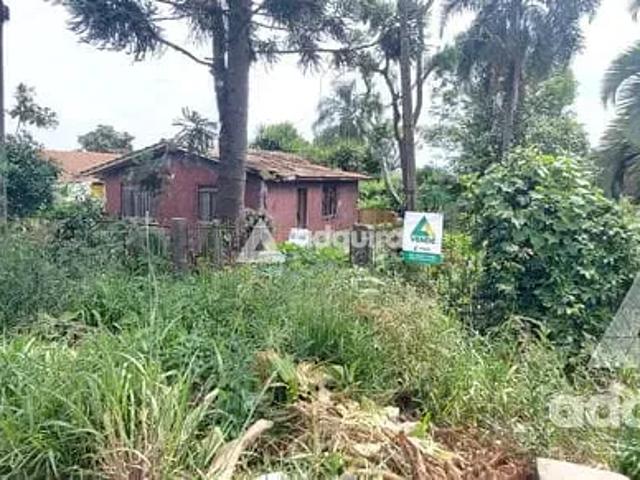 Terreno venda em Parque do Café, Ponta Grossa