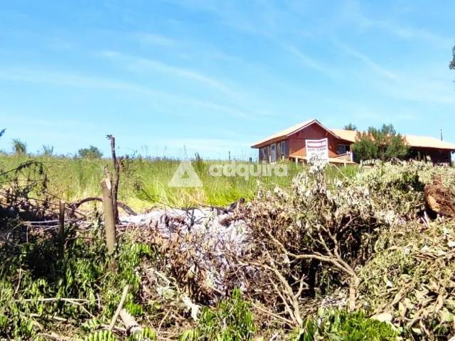 Terreno venda em Ponta Grossa, Região Geográfica Intermediária de Ponta Grossa
