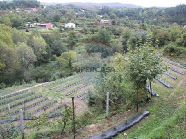 Terreno venda em Campos Abades, Covas