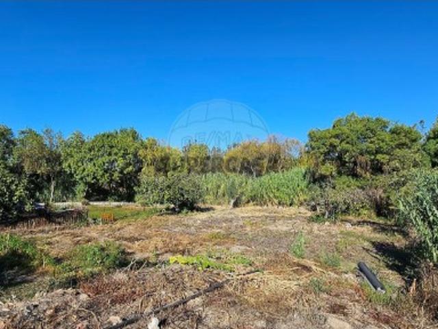 Terreno venda em Montemor-o-novo, Évora
