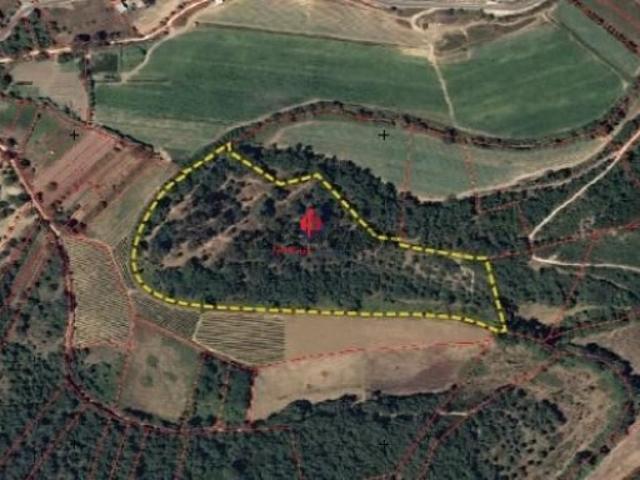 Terreno venda em Alforgemel, Santarém