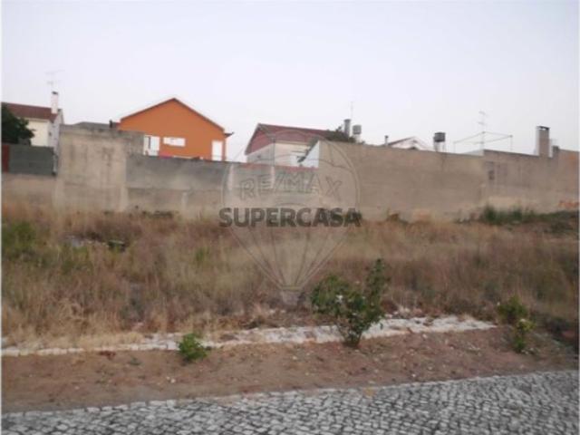 Terreno venda em Santarém