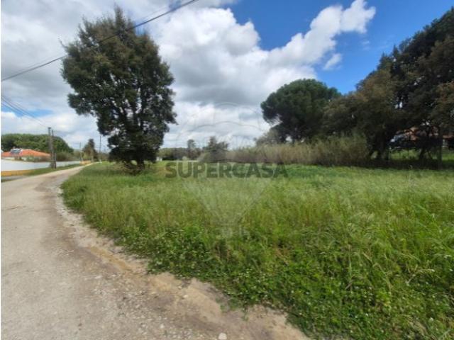 Terreno venda em Santarém, Marvila Terreno venda em Santarém, Marvila