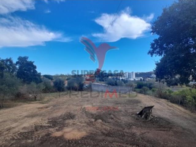 Terreno venda em Santarém Terreno venda em Santarém