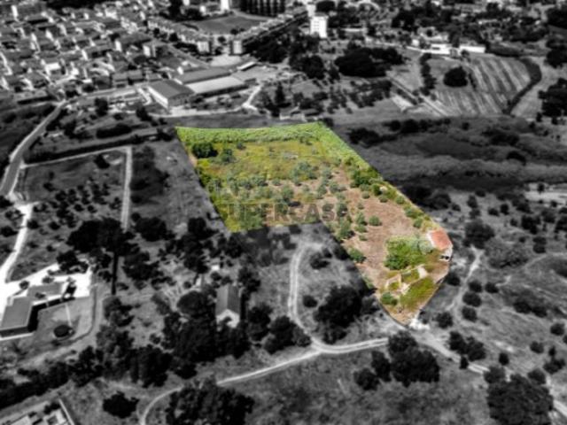 Terreno venda em Santarém