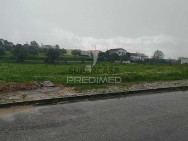 Terreno venda em Santarém Terreno venda em Santarém