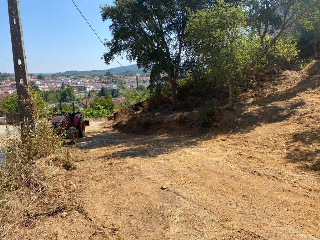 Terreno venda em Arganil, Coja