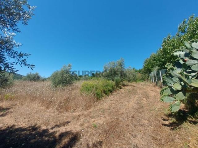 Terreno venda em Arganil, Coimbra