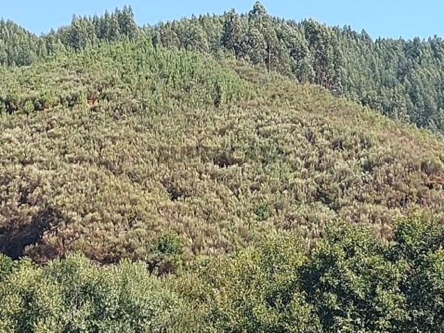 Terreno venda em Arganil, Coimbra