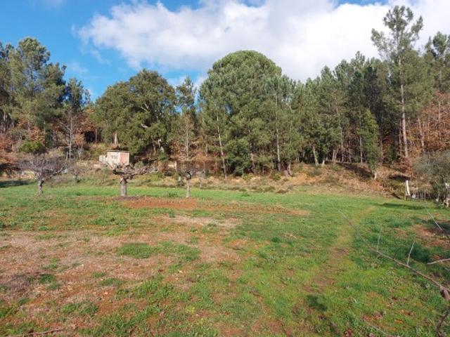 Terreno venda em Arganil, Coimbra