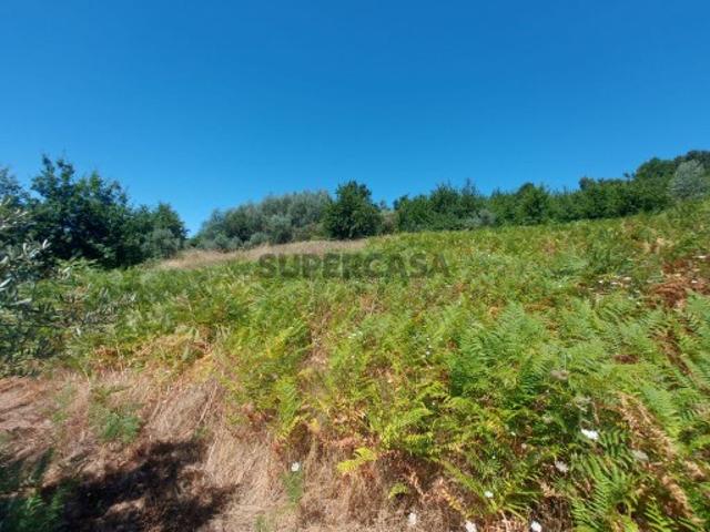 Terreno venda em Arganil, Coimbra