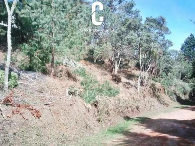 Terreno venda em Região Imediata de Taubaté-Pindamonhangaba, Região Metropolitana do Vale do Paraíba e Litoral Norte