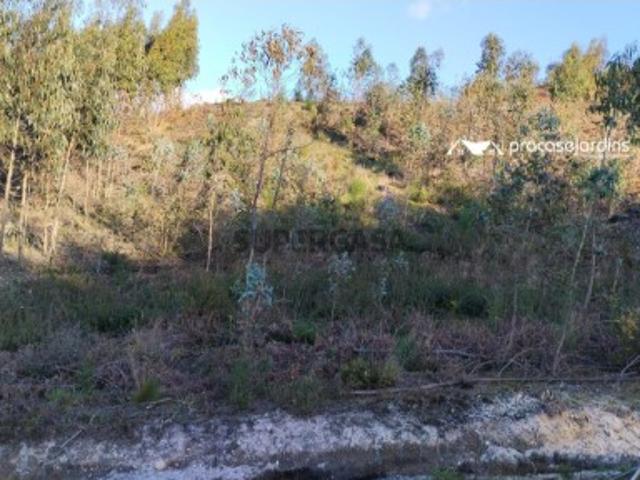 Terreno venda em Leiria