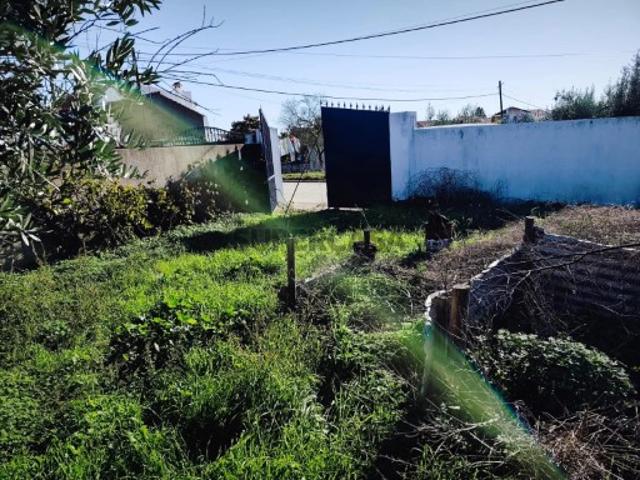 Terreno venda em Gavião, Portalegre