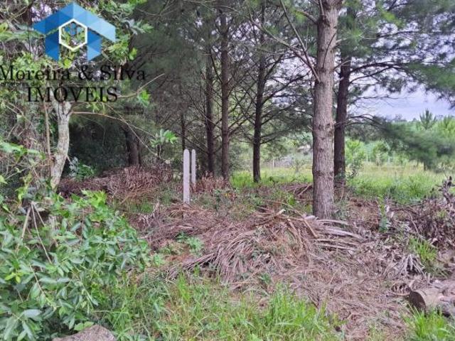 Terreno venda em Setembrina, Viamão