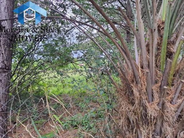 Terreno venda em Região Geográfica Imediata de Porto Alegre, Região Metropolitana de Porto Alegre