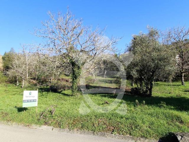 Terreno venda em Condeixa-a-nova, Coimbra