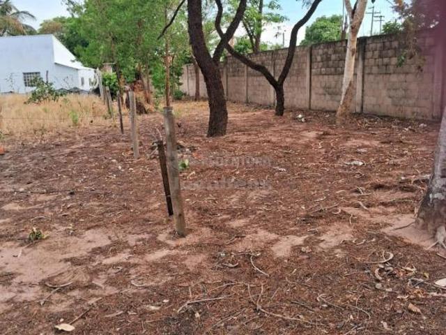 Terreno venda em Região Imediata de Birigui-Penápolis, Buritama