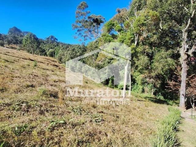 Terreno venda em Vila Paulista, Campos do Jordão